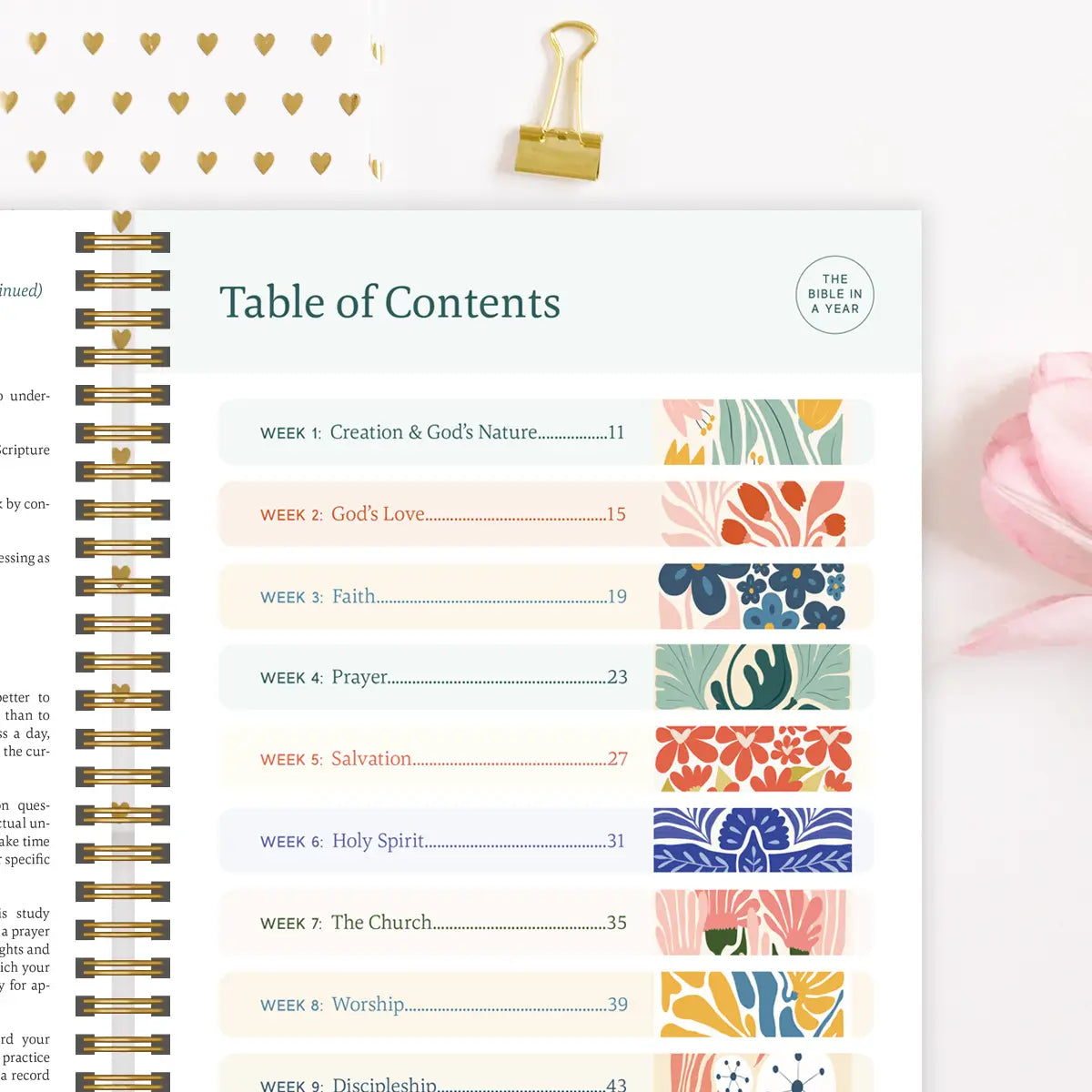 Spiral Bible in a Year (RESTOCKING SOON)
